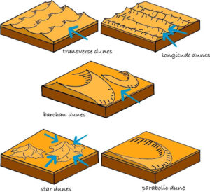 Depositional Landforms Created by Wind