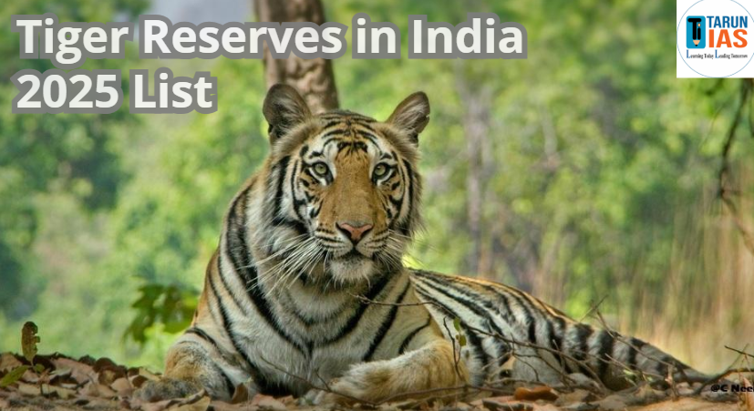 Read more about the article Tiger Reserves in India 2025 Full List, Locations, State-Wise Details & Conservation  Schemes