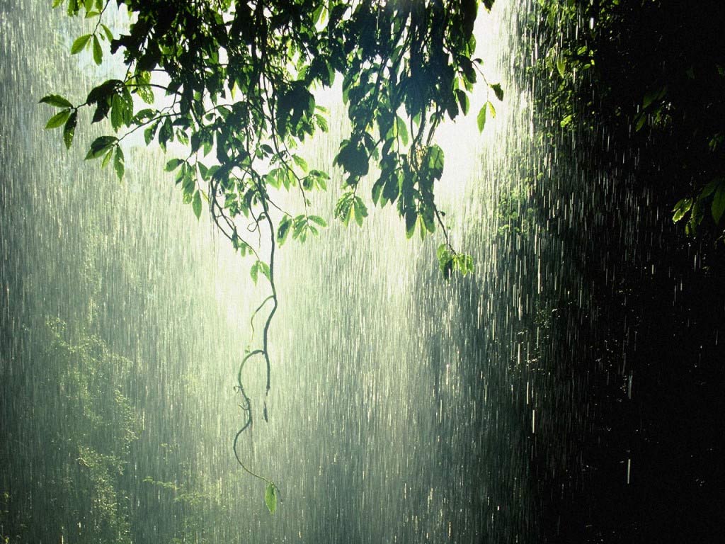 Monsoon Season in India