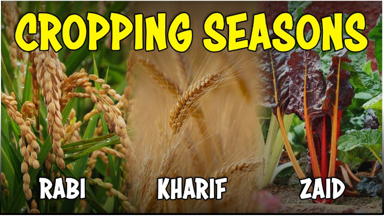 Cropping Seasons in India