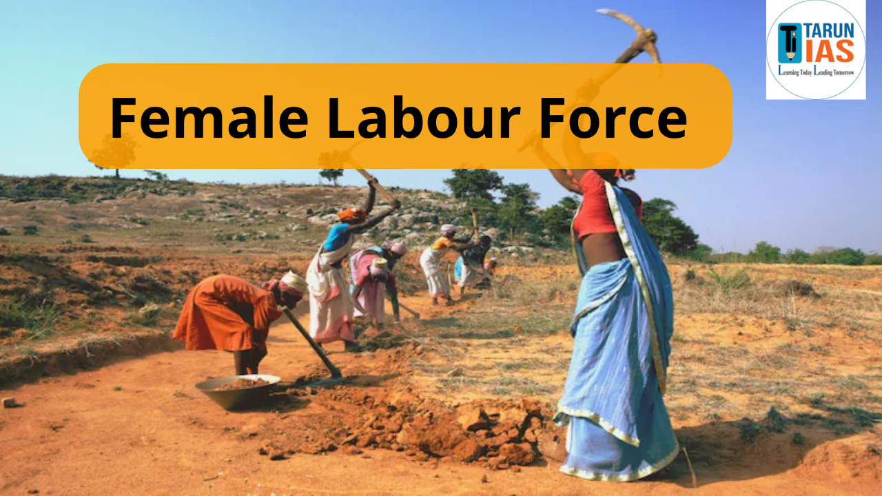 Read more about the article Female Labour Force Participation Rate in India: Trends, Challenges & Government Initiatives