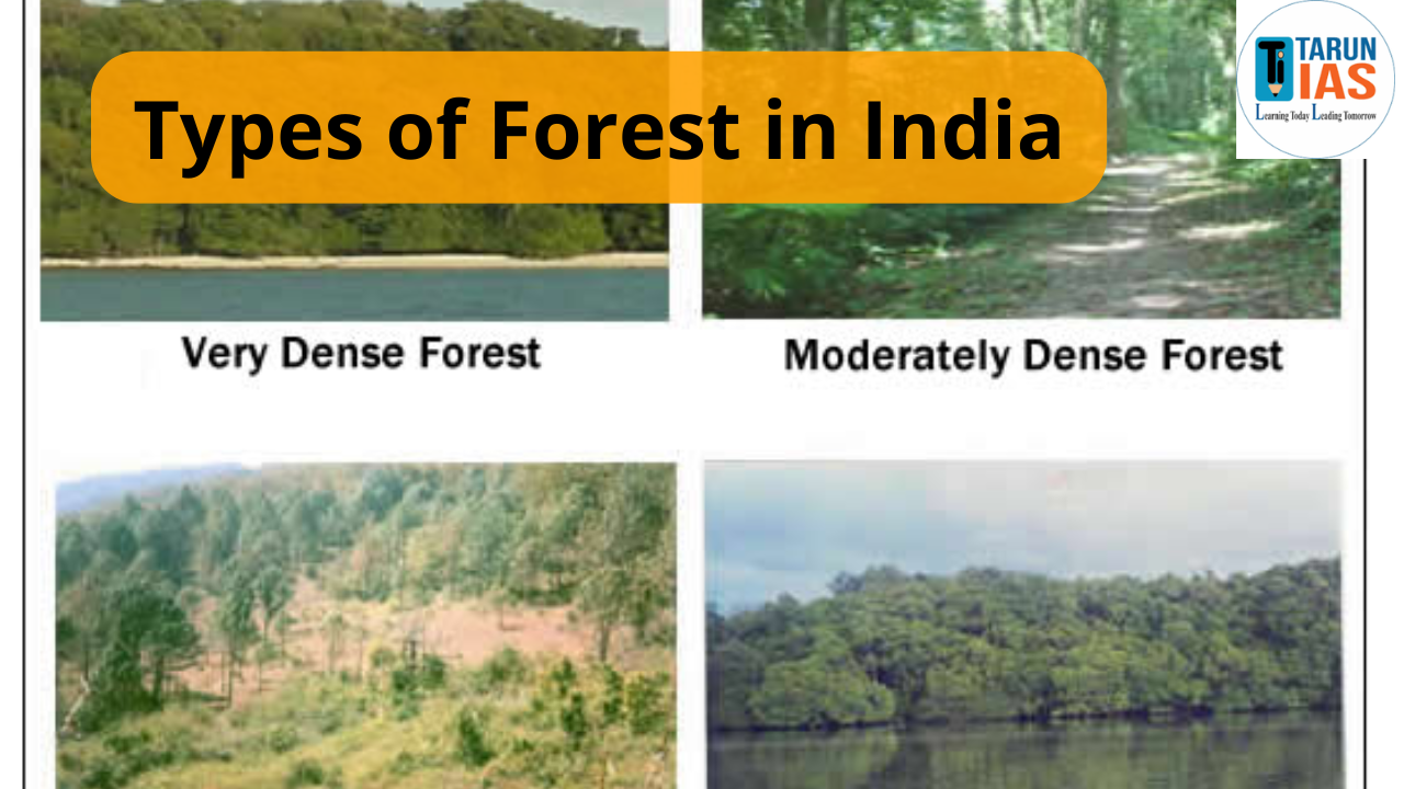 Read more about the article Types of Forest in India: Classification, Features, Distribution