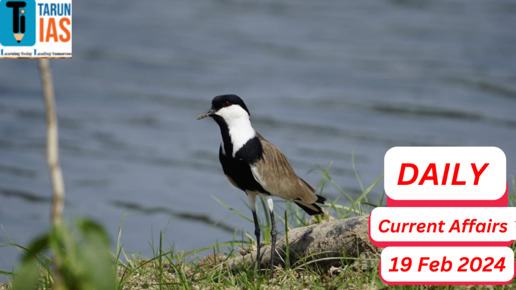 Daily Current Affairs New Lapwing