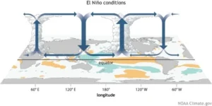 Scientists do not yet understand in detail what triggers an El Nino cycle