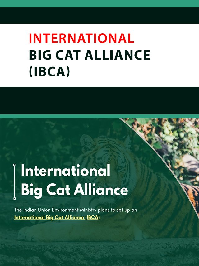 poster of web storybig cat allungjpg