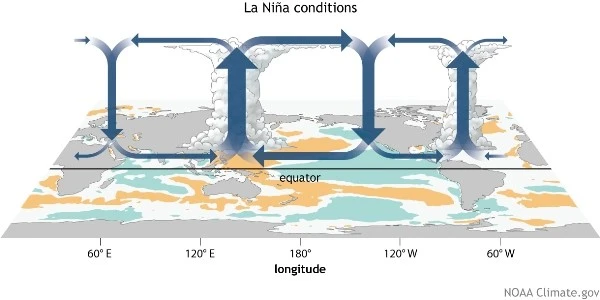 warming of water in the central and eastern tropical Pacific Ocean