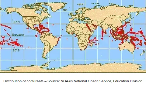 Distribution of coral reefs