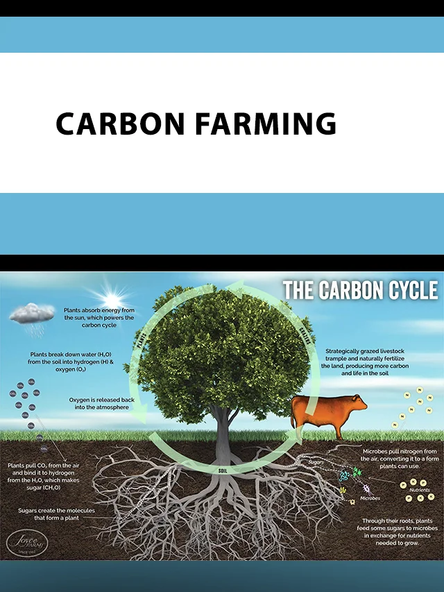 Carbon Farming poster