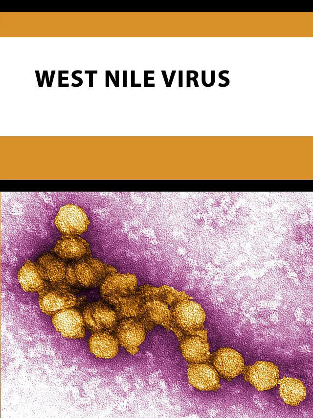 West Nile Virus poster