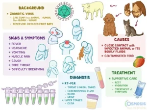 About-Nipah-Virus