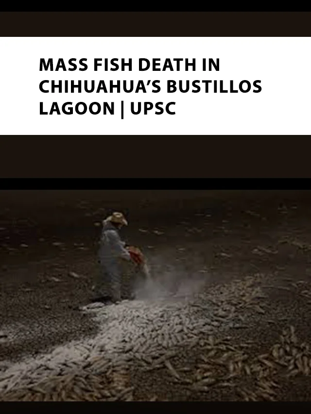 Mass Fish death in Chihuahua’s Bustillos Lagoon poster