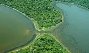 Pantanal Wetland