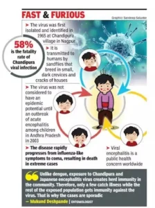 Chandipura Virus Infection