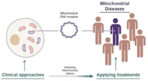 Mitochondrial Diseases