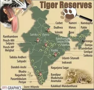 Nagarjunasagar Srisailam Tiger Reserve (NSTR)