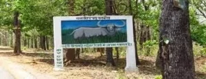 Udanti Sitanadi Tiger Reserve