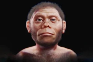 Homo Floresiensis