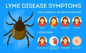 Lyme Disease