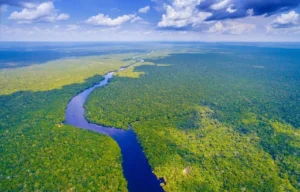 Amazon River