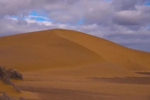 Great Sandy Desert