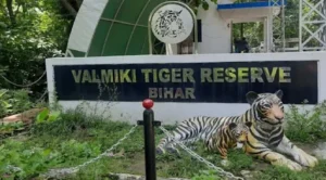 Valmiki Tiger Reserve