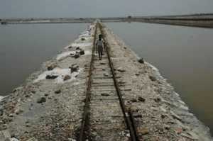 Sambhar Lake