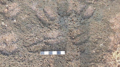 Prehistoric Rock-cut Footprints