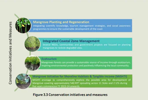 Factors Behind the Increase in Forest Cover