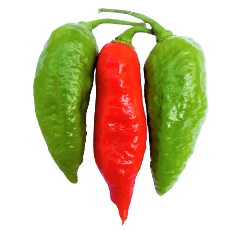 Naga King Chilli