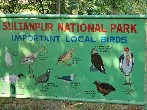 Sultanpur National Park