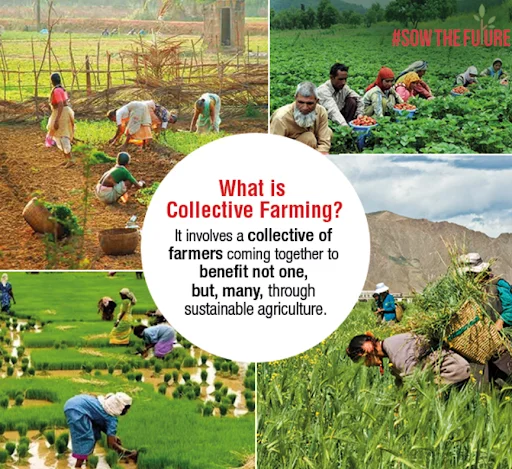 Collective Farming